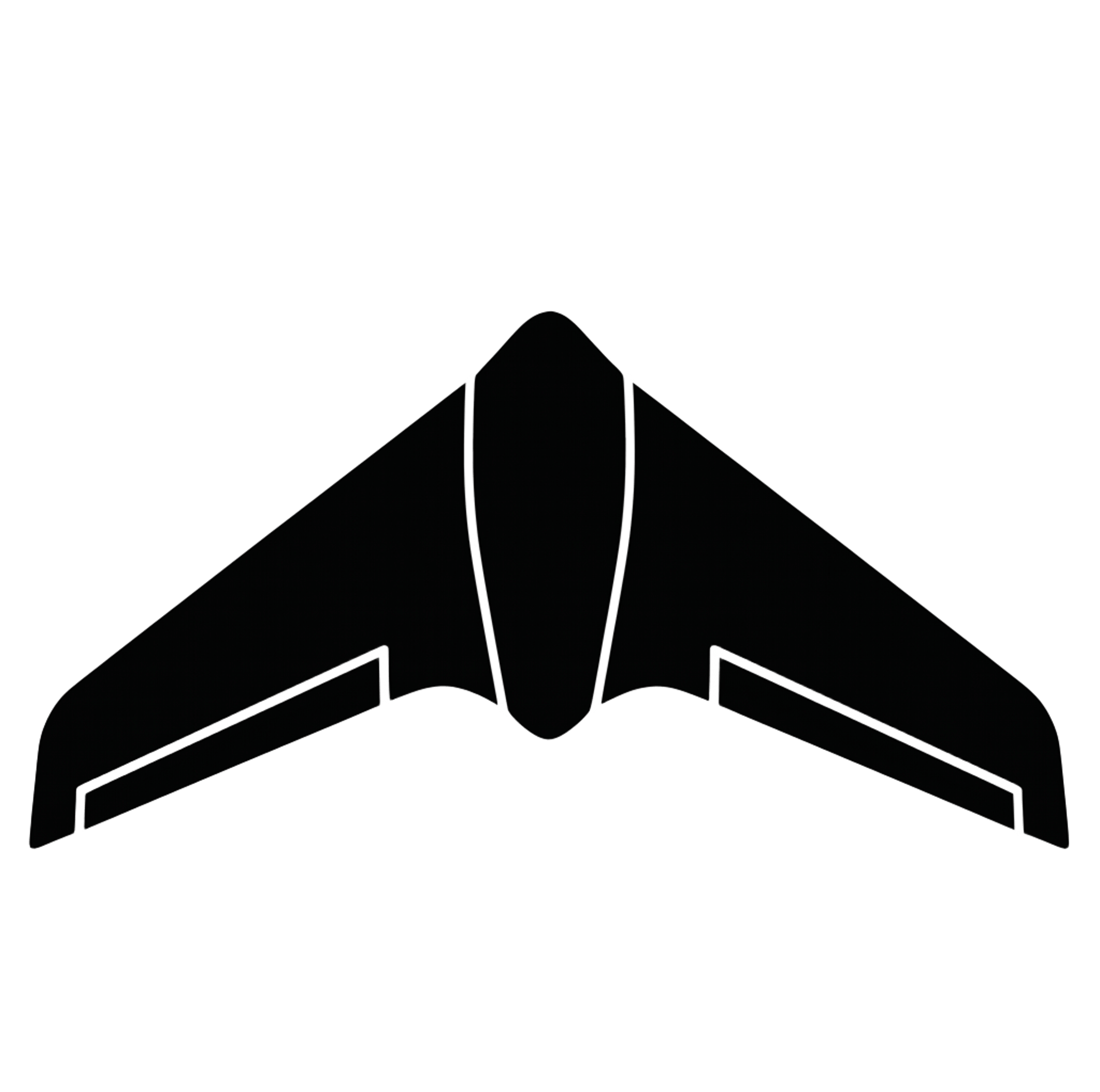 Flying Wing